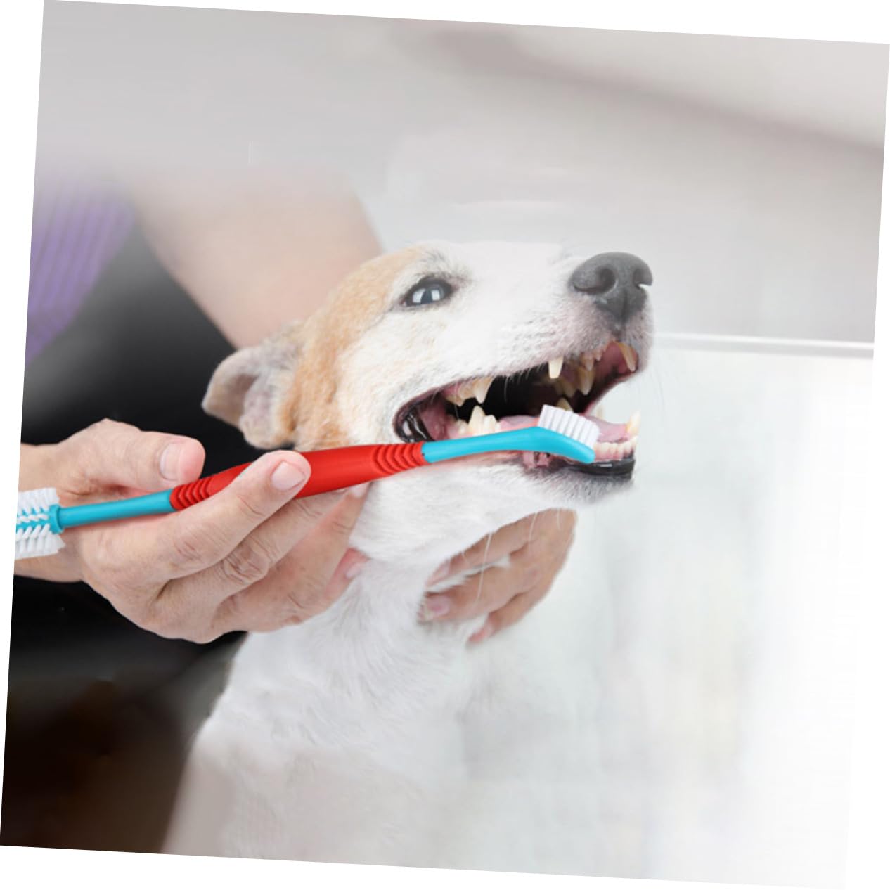 Kisangel 12piezas Cepillo De Dientes Para Mascotas De Diseño De Doble Cabeza Cepillo Para Perros y Gatos Limpieza Efectiva y Masaje De Encías