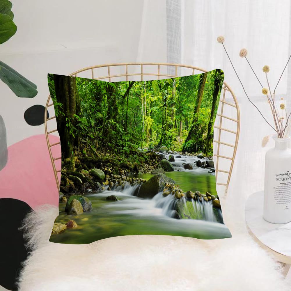 Hyosxw Rainforest Nations Home Decor,Mountain Strea - A5 Cushion Cover,Throw Pillow Case Home Decorative For Living Room Bedroom Sofa Chair 18X18 Inch,Rainforest Nations Home Decor,Mountain Stream In A Tropical Rainforest Foliage,Pillowcase 45X45cm