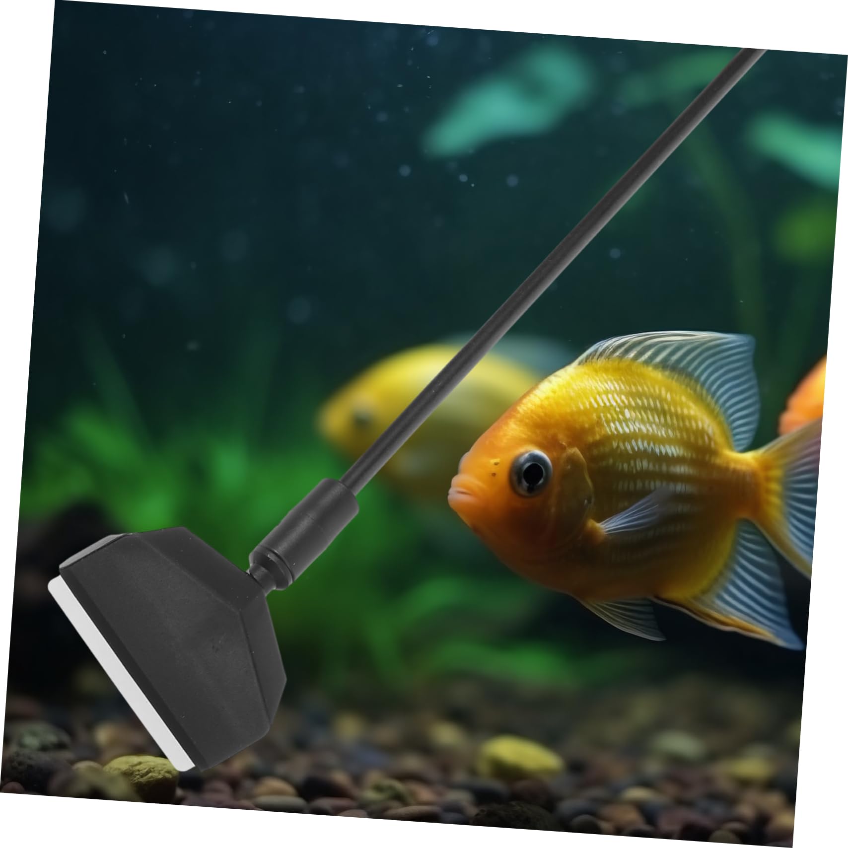 Levemolo 1 Set Fish Tank Aquarium Brush Tools Convenient Aquarium Brush Household Compact Cleaning Brush Fish Tank Cleaning Brush Compact Aquarium Scraper Fish Tank Brush