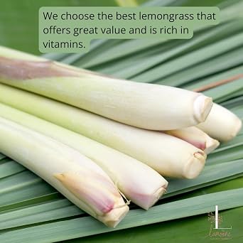 Lemongrass from Organic Thailand Farm, Premium Grade, 3.5 oz (100g), Lemon Grass for Tea, Drink And Food. Strong aroma and vibrant flavor.