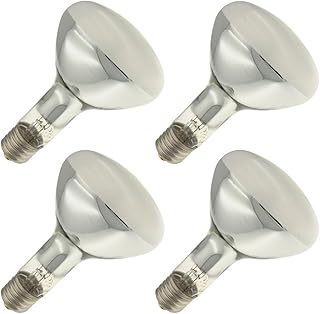 Eye 250WSB/R40FL/MOG, 250 Watt, R40, Mogul Screw (E39) Base Light Bulb (4 Bulbs)