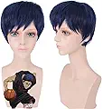 Anime Kuroko no Basuke GAKUEN Aomine Daiki Wig Cosplay Costume Kuroko's Basketball Short Heat Resistant Synthetic Hair Wigs