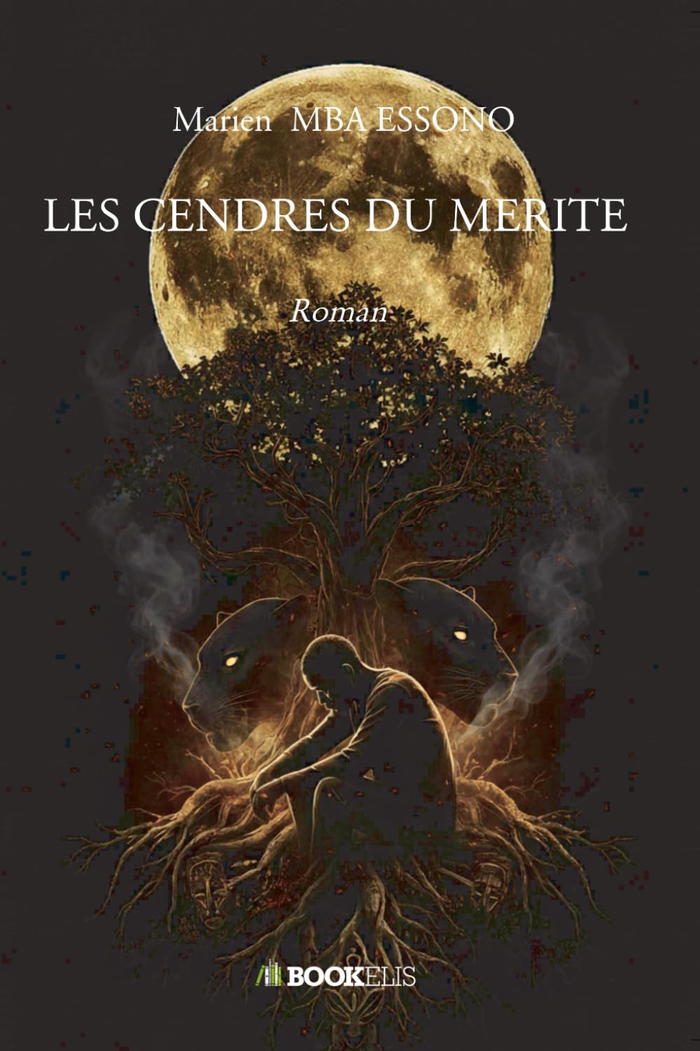 LES CENDRES DU MERITE: Roman