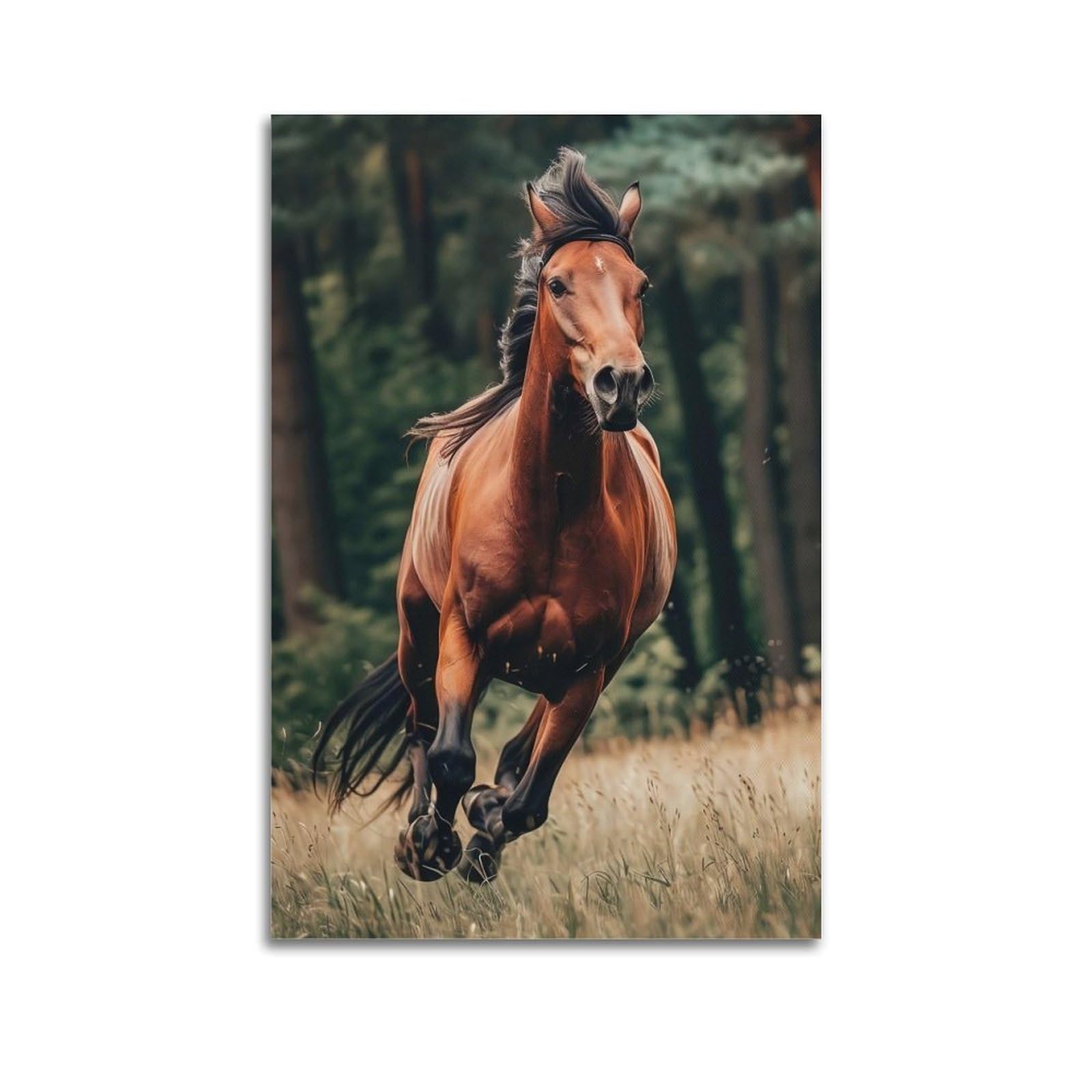 CXHJCA Animal Poster Prancing Horses Artwork Poster Decorative Painting Canvas Wall Posters And Art Picture Print Modern Family Bedroom Decor Posters 20x30inch(50x75cm)