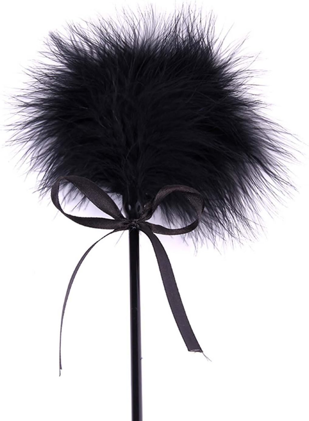 Vivilover Feather Tickler and Leather Slapper Costume Accessory (Black)