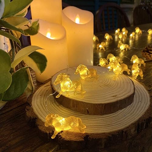 Miniatura 10 de JASHIKA Guirnalda de luces únicas para caballo, regalos para niñas, lindas luces decorativas de poni de doble color, 8.5 pies, 20 LED, funciona con
