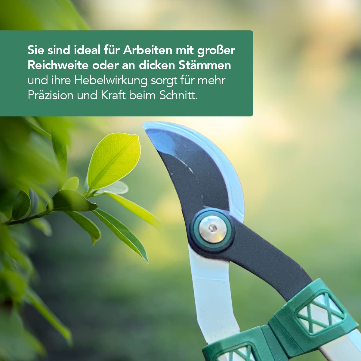 BioTop Zweihändige Beschneidschere - Professionelles Gartenwerkzeug - Schere ideal für Pflanzen, Blumen, Garten und Gemüsegarten - maximal 40 mm mit Stoßdämpfern - Biotop