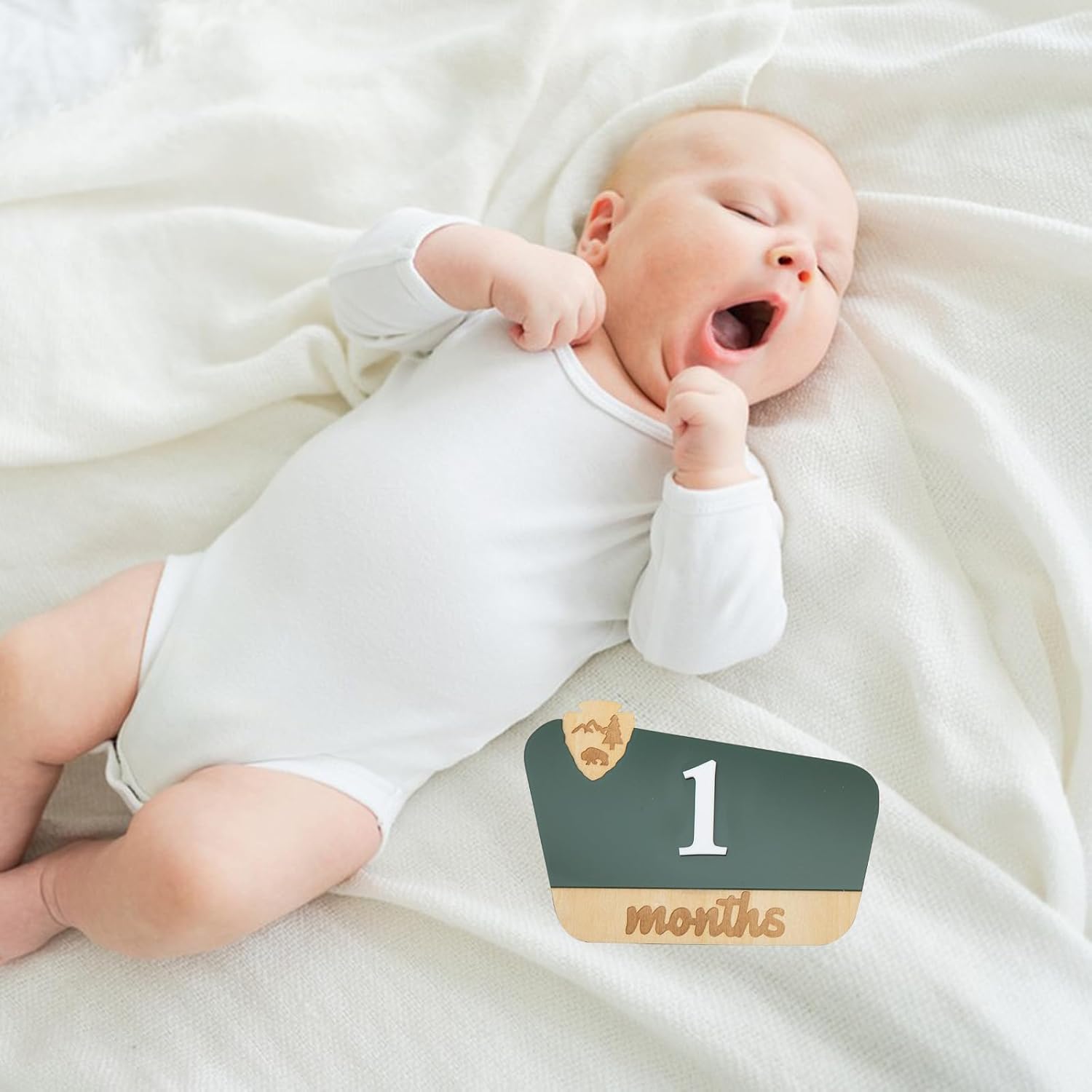 National Park Baby Milestone Markers - Wooden Monthly Signs for 1-12 Months, Interchangeable Nature-Themed Growth Tracker, Rustic Nursery Decor, Woodland Baby Announcement Board, Photoshoot Props image 5