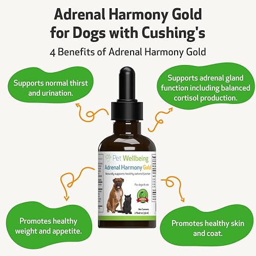 Miniatura 4 de Pet Wellbeing Kit de cuidado de Cushing para perros, formulado por veterinarios, para Cushing, apoyo suprarrenal, equilibrio de cortisol