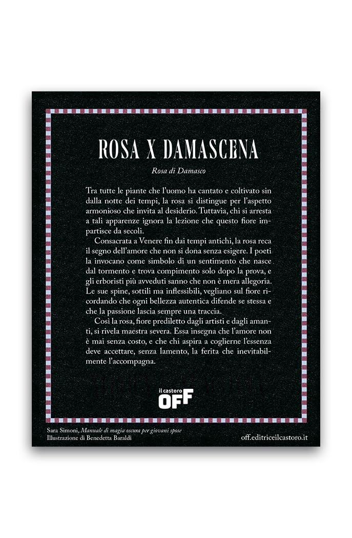 Manuale di magia oscura per giovani spose. Con gadget