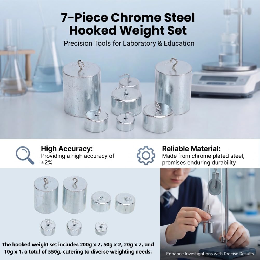 Pesi con Gancio Laboratorio 10g 20g 50g 200g Set di Pesi con Gancio Cromati Pesi con Gancio Scientifici per Laboratorio Scolastico