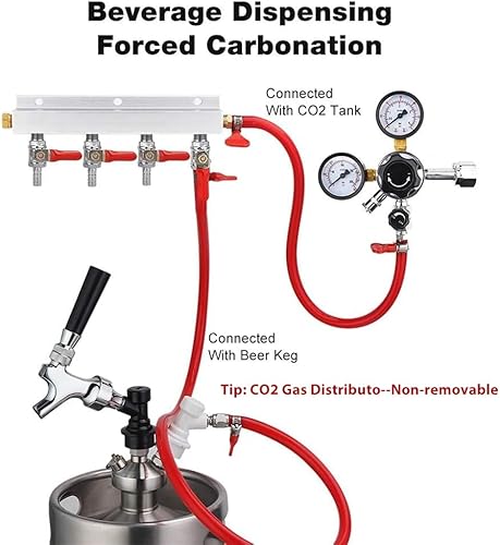 Miniatura 6 de Ferroday Colector de gas de 4 vías, válvulas de retención integradas de púas de 5/16 pulgadas, distribuidor de CO2, apagado independiente,