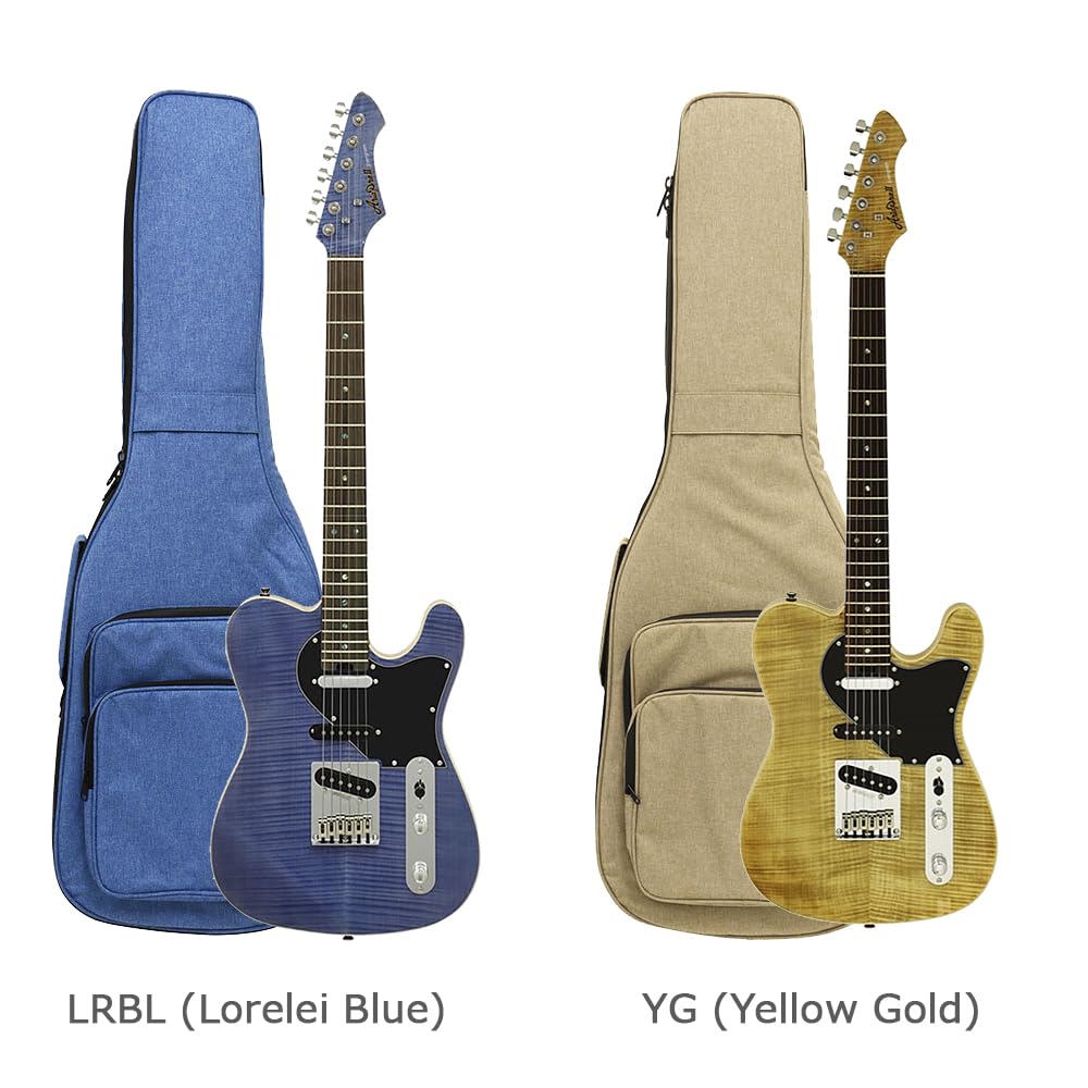 Amazon | AriaProII 615-AE200(B) エレキギター初心者14点セット