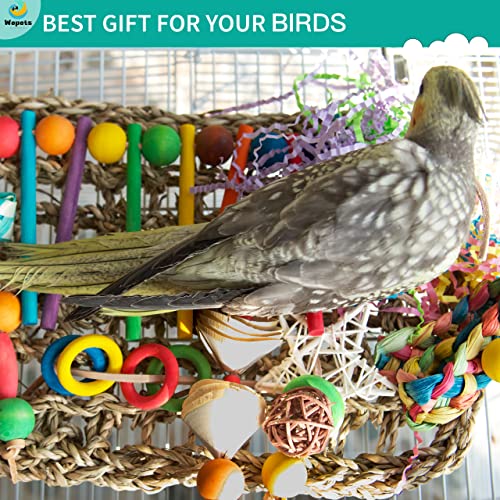 Wepets Brinquedo de papagaio forrageado feito à mão de alga marinha (28,2 cm x 18 cm) – maneira natu
