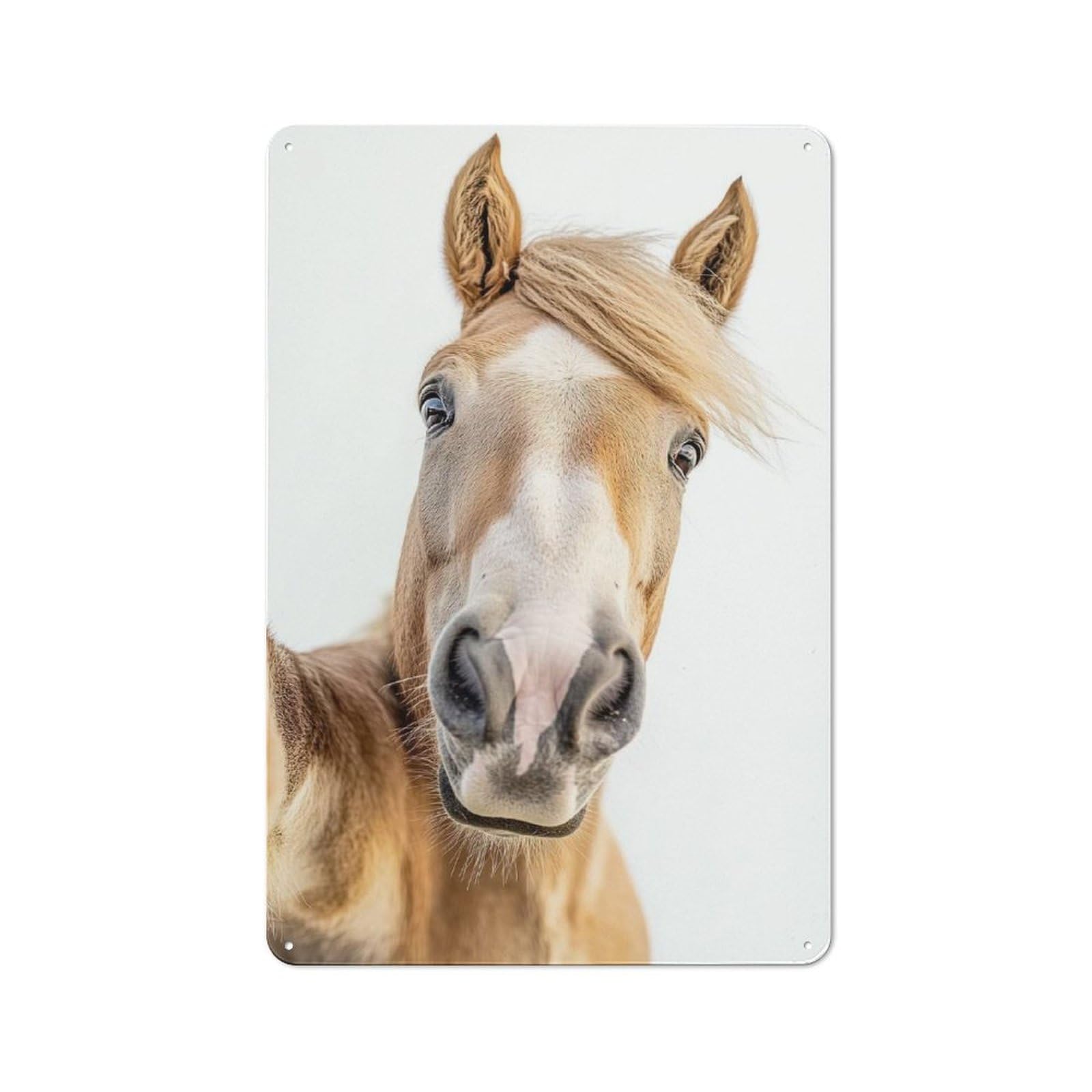 Junmoney Horse Selfie Tin Wall Plaque 30X20cm With For Pub Or Café, With Clear Vintage Wall Decor Character