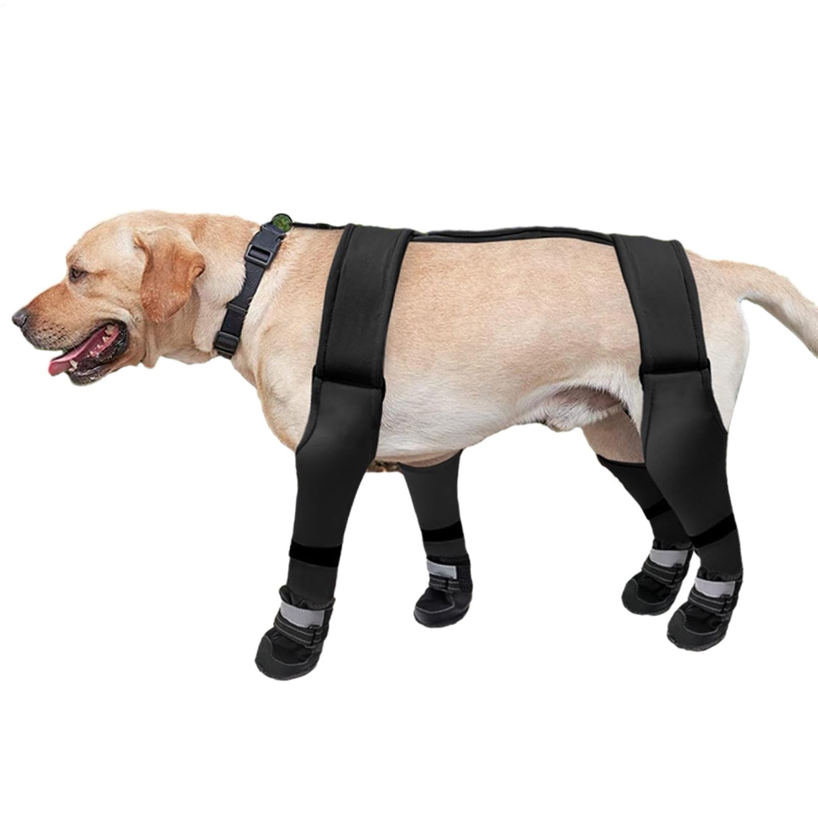 Bottes pour chien imperméables pour promener votre animal sous la pluie et en hiver