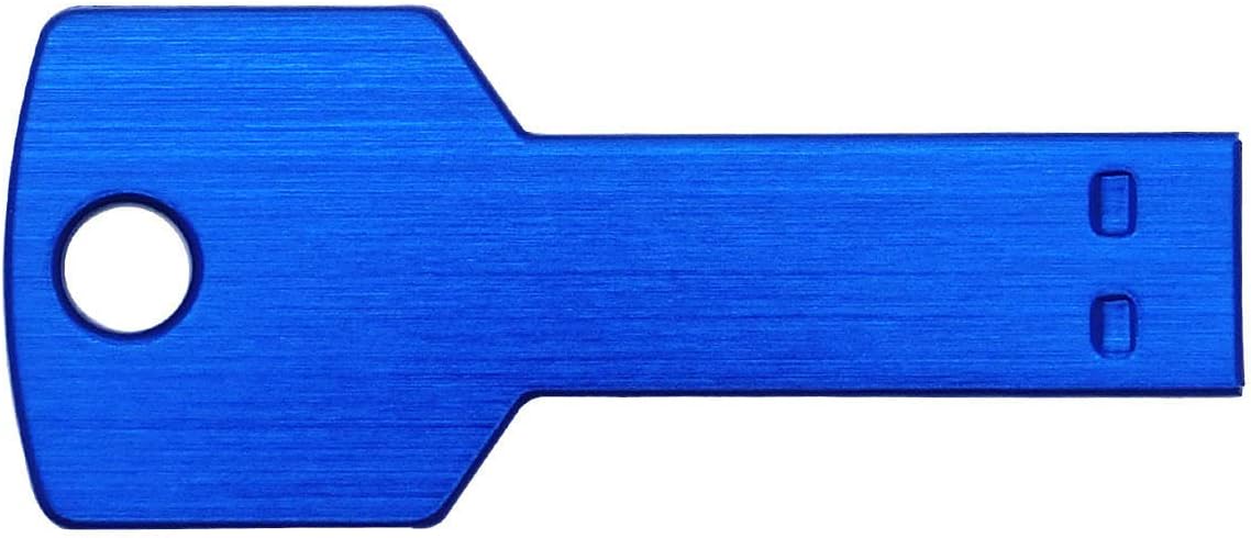 Lot 10 2GB Key Shape USB 2.0 Flash Drive 2G Metal Memory Pen Stick Thumb Drive Wholesale Bulk Pack (2GB, Blue)
