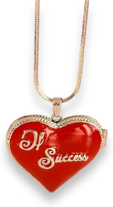 womens Saint Lana Del Rey LDR Style Stash Necklace/Snake Chain/locket Necklace/Red Heart Necklace, Money is the anthem