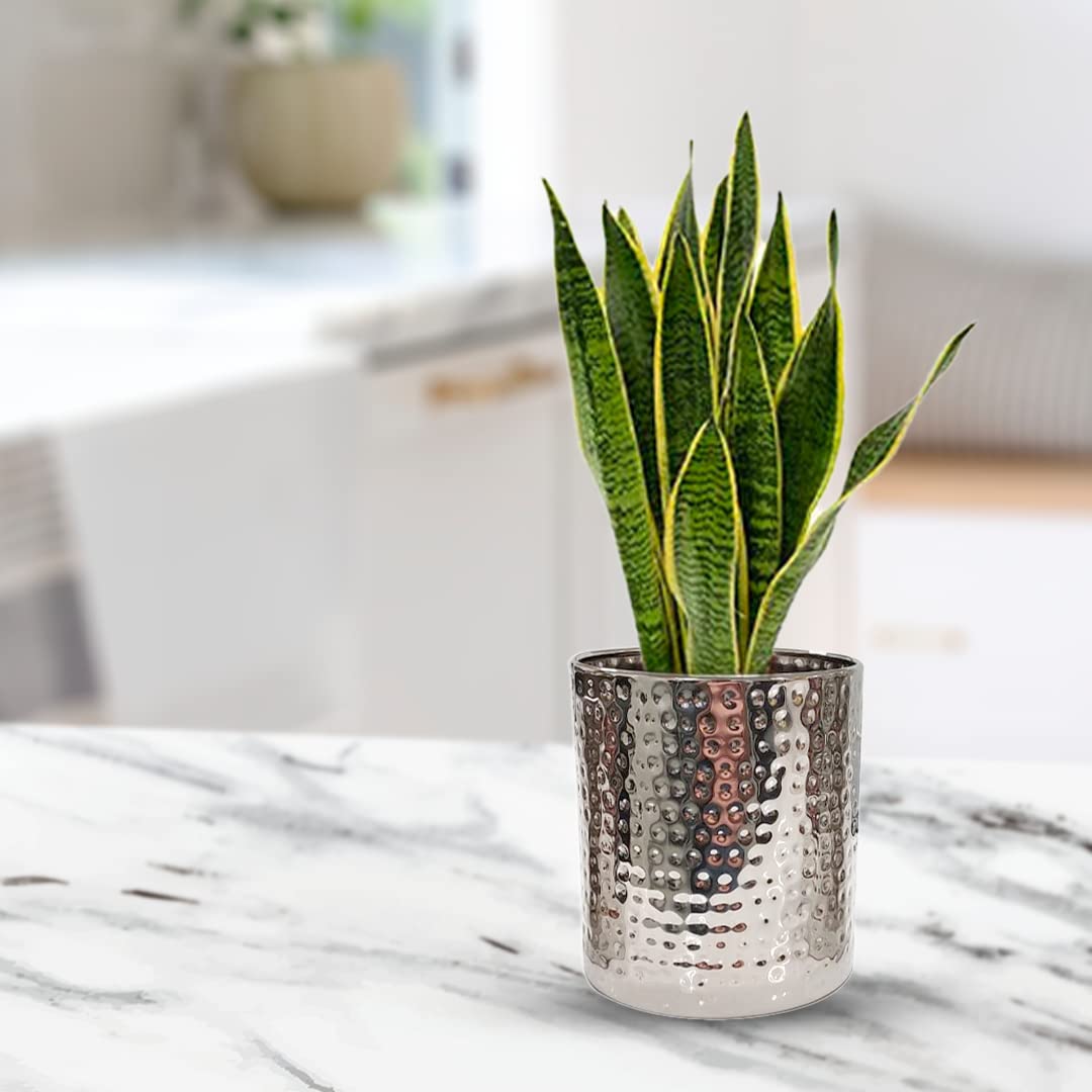 USHA SHRIRAM Stainless Steel Flower Pot | Tower Planter | Rust Resistant | Home Décor | Sustainable | Planter for Office, Living Room | Indoor Plants (3.1L) (B0C2CFG34G) Amazon Price History, Amazon Price Tracker