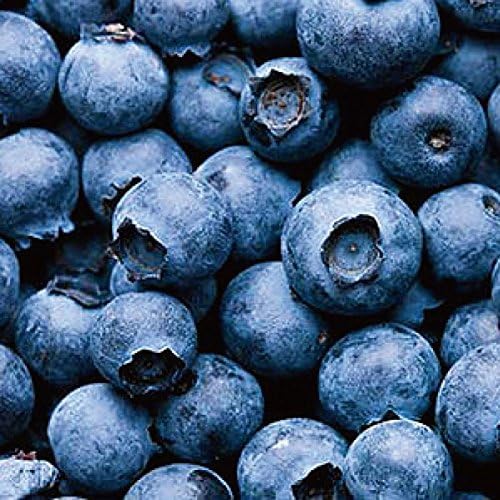 Amazon 無添加 冷凍ブルーベリー パト リオット ブルージェイ ミック ス 1kg 北海道 自然栽培 ハウレット農園 道南地元市場 食品 飲料 お酒 通販