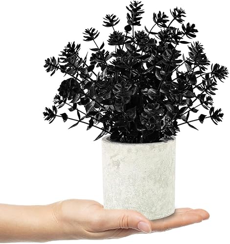 Miniatura 3 de 2 unidades de eucalipto falso negro de Halloween, pequeñas plantas artificiales en maceta para decoración de Halloween, estantes, escritorio, hogar,