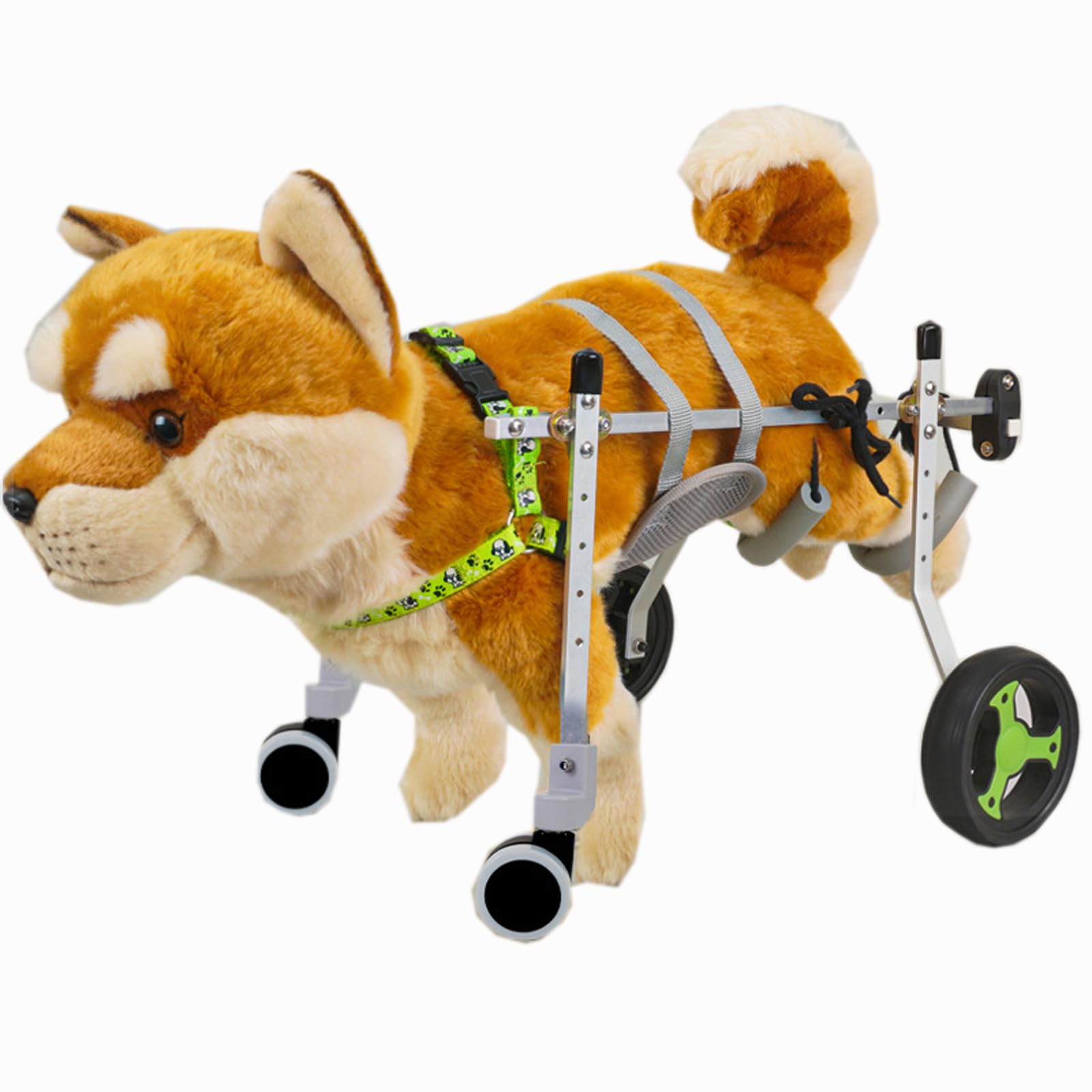 Chariot de rééducation pour chiens paralysés des pattes arrière