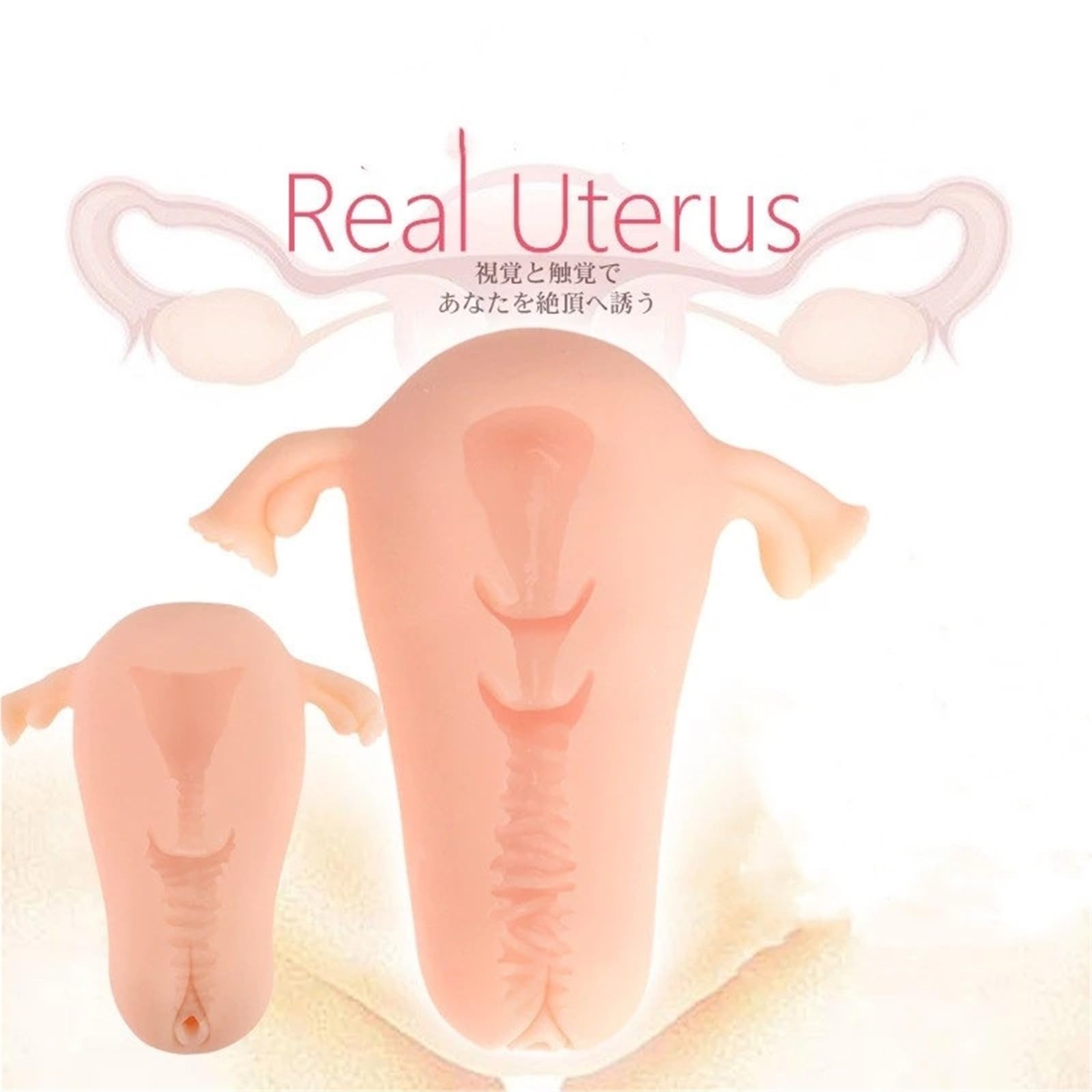 Amazon.com: Realistic Women Uterus Vagina Masturbation Device Aircraft Cup  Penis Simulation Pocket Pussy Breast Ball Adult Sex Toys for Man(118mm  155g) : Health & Household