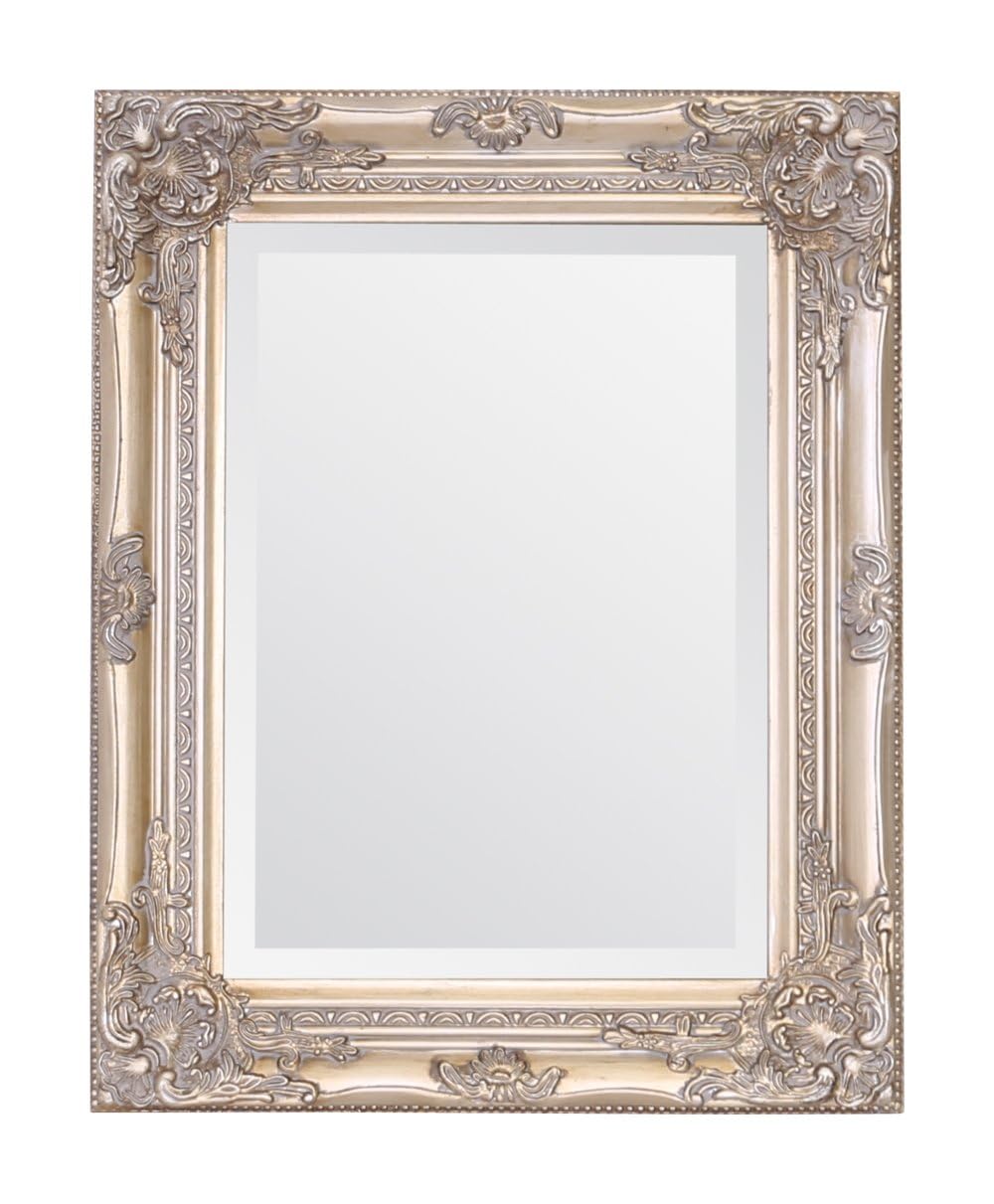 Select Mirrors Spiegel Rhône Vintage Französisch Barock Antik Stil 42cm x 53cm Shabby Chic Wohndeko (Antiker Champagner)