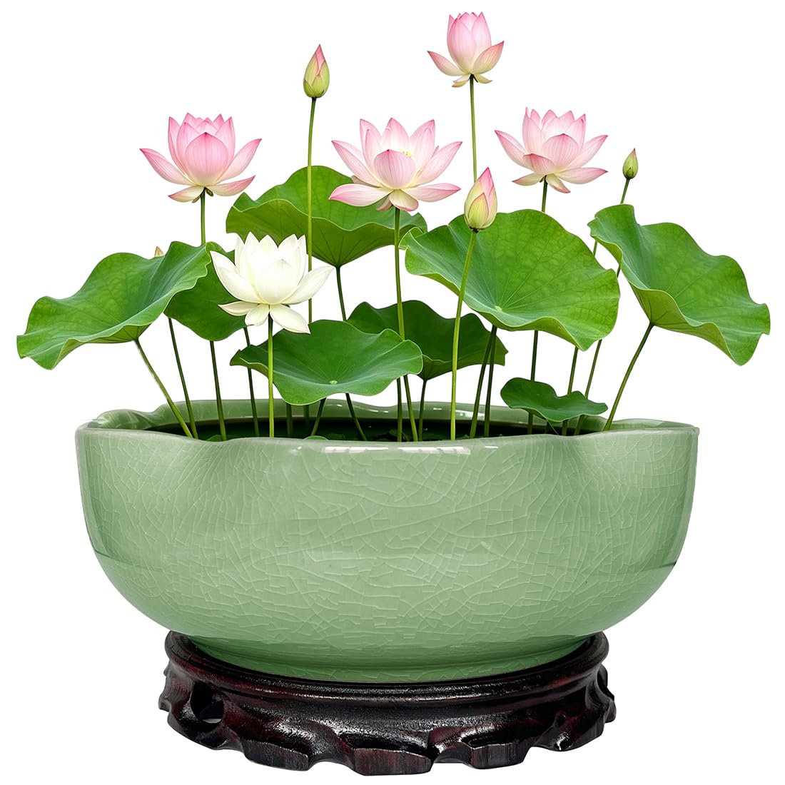 MUZHI Green Ice Crack Ceramic Lotus Bowl