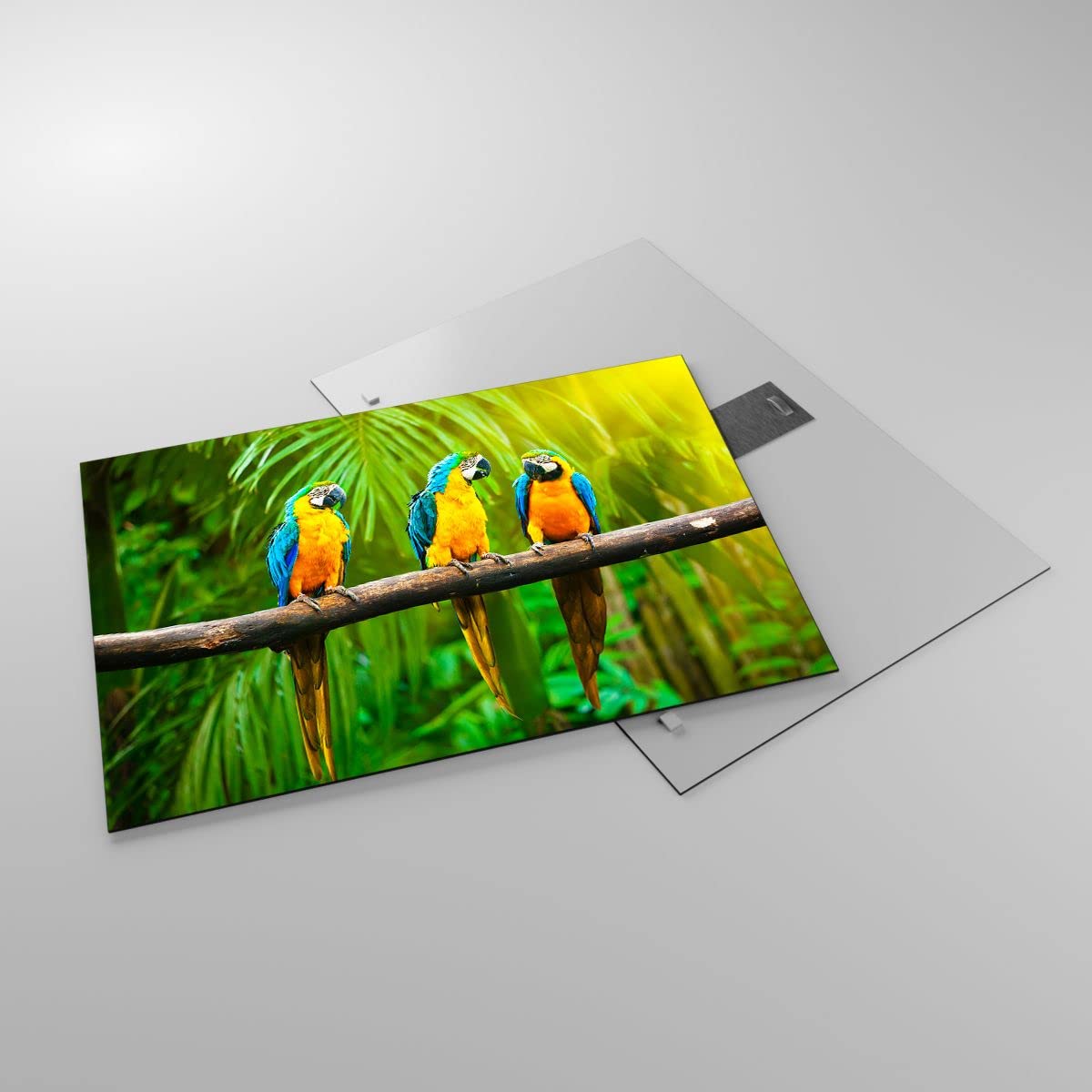 Cuadro sobre Vidrio 70x50cm Moderno Horizontal Botánica Naturaleza - 2696 | Loros Vistoso Cuadro Decorativo Arte mural Salón Dormitorio Cocina Cuadros de Pared Impresión en Cristal Glasprint ARTTOR