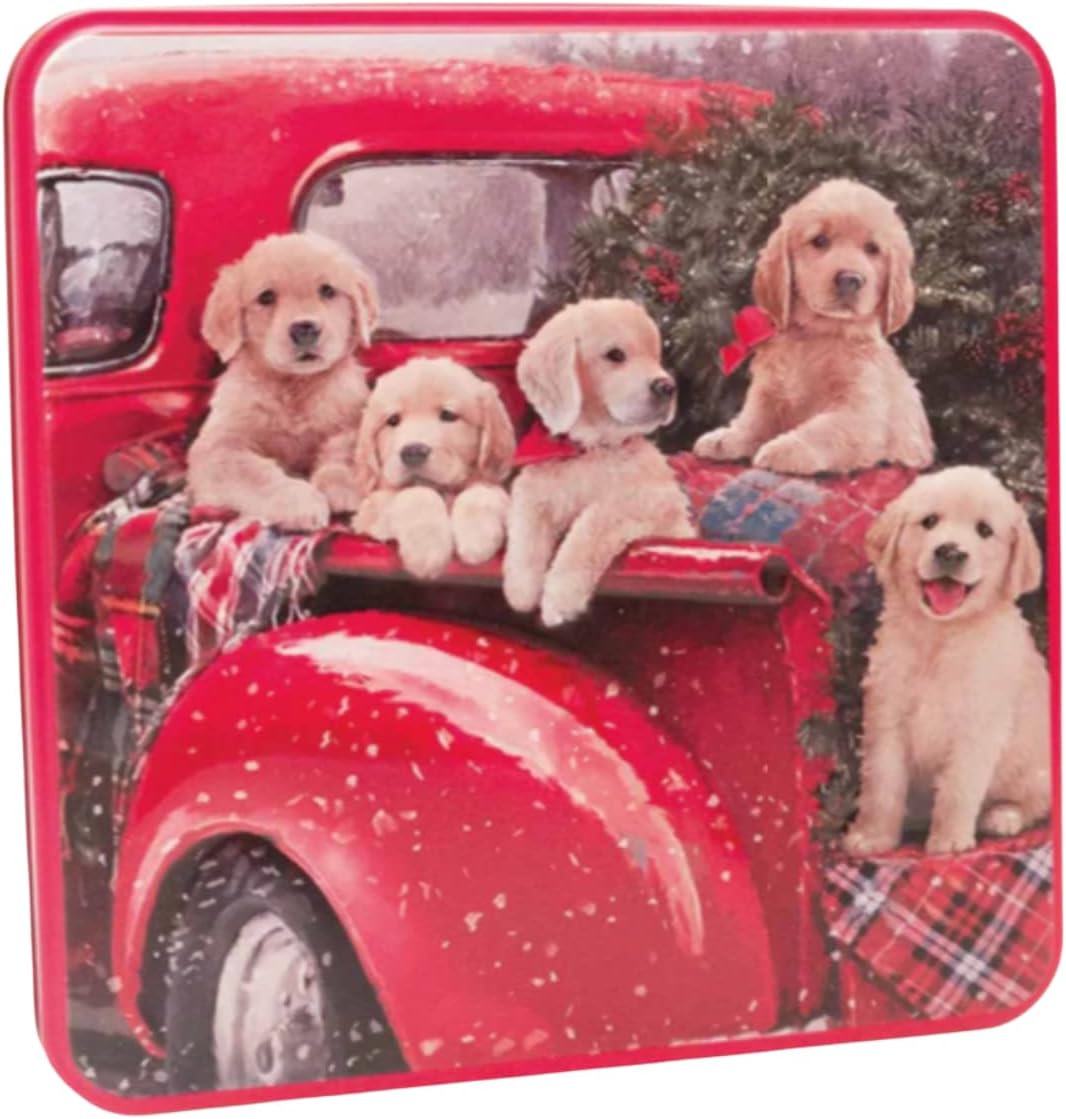 Christmas Biscuit Tin Gift Set with Assorted Biscuits Stem Ginger