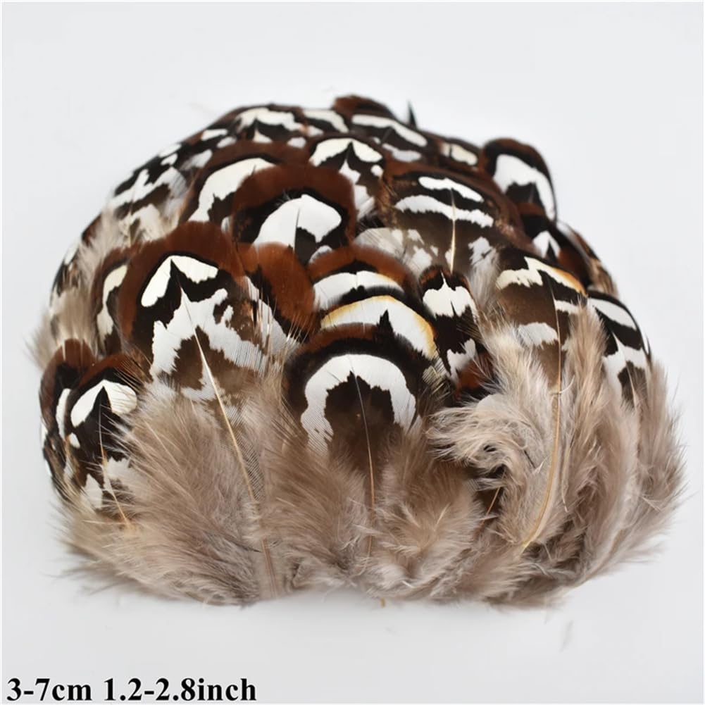 Naturalne pióra bażanta, Naturalne pióra bażanta Multicolor 3-7cm 20-200 szt. Do wyrobu biżuterii rzemiosło DIY(20 Piece)
