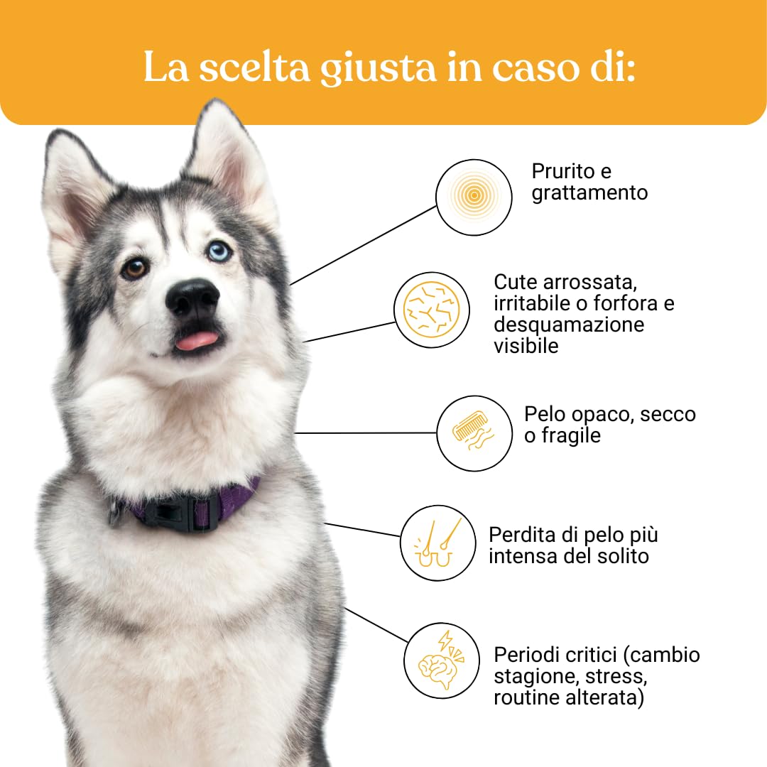 Bau Dermatite Cane e Prurito in Pasta – Stop Dermatosi Integratore Pelle e Mantello – per Perdita Pelo, Cute Irritata e Forfora – Supporto Funzione Dermica in Stick Appetibili