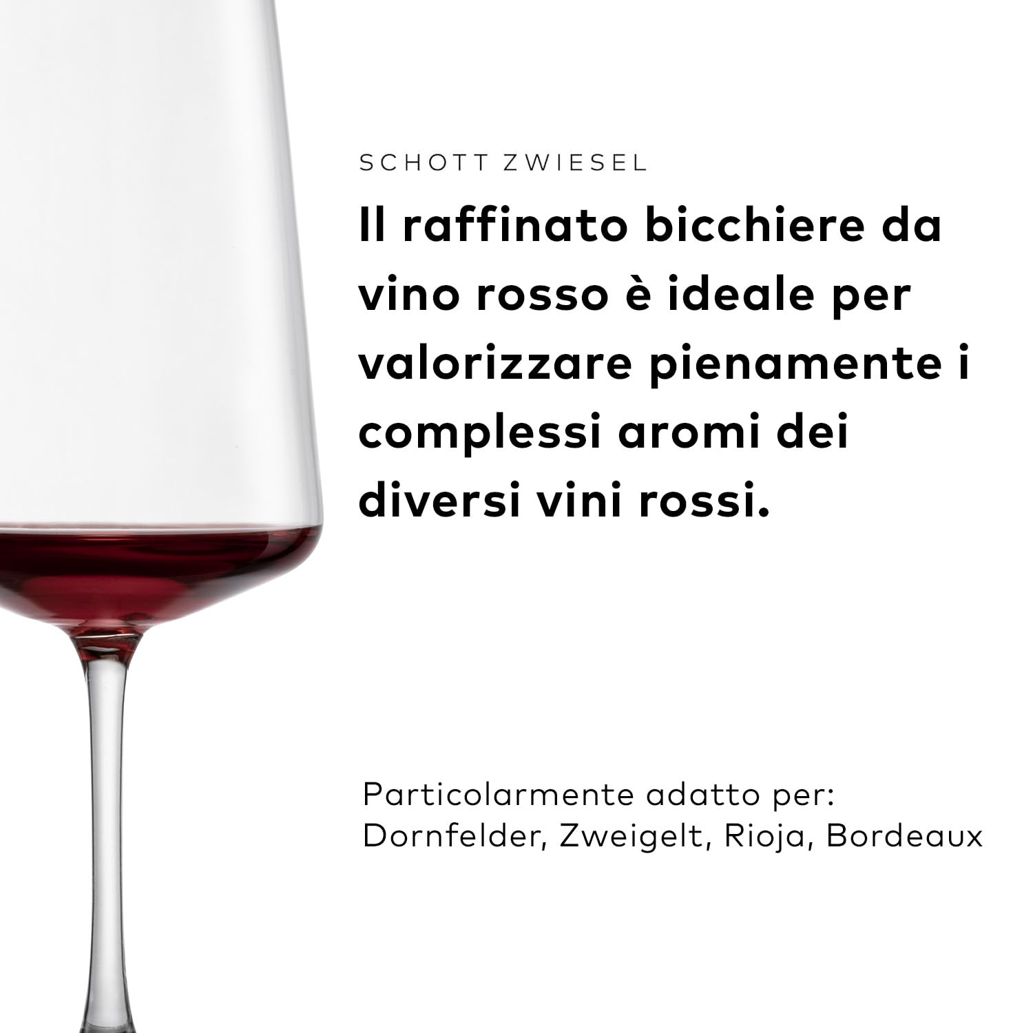 SCHOTT ZWIESEL Set di bicchieri MioVino (set iniziale da 12), moderni bicchieri da vino e da champagne in un set, bicchieri in cristallo Tritan lavabili in lavastoviglie, Made in Germany (art. 124072)