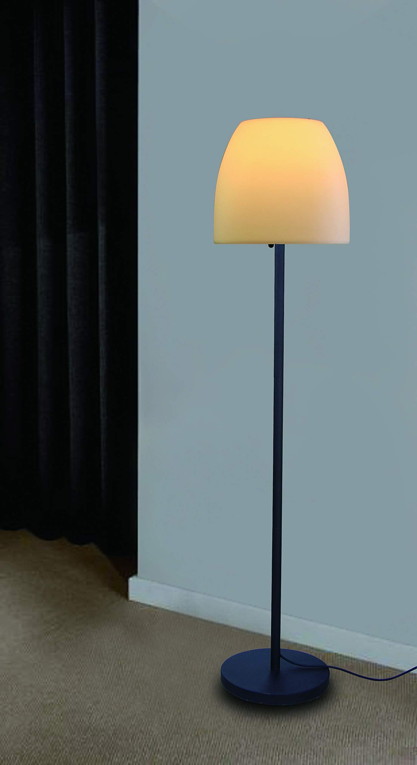 Dale Floor Lamp Black