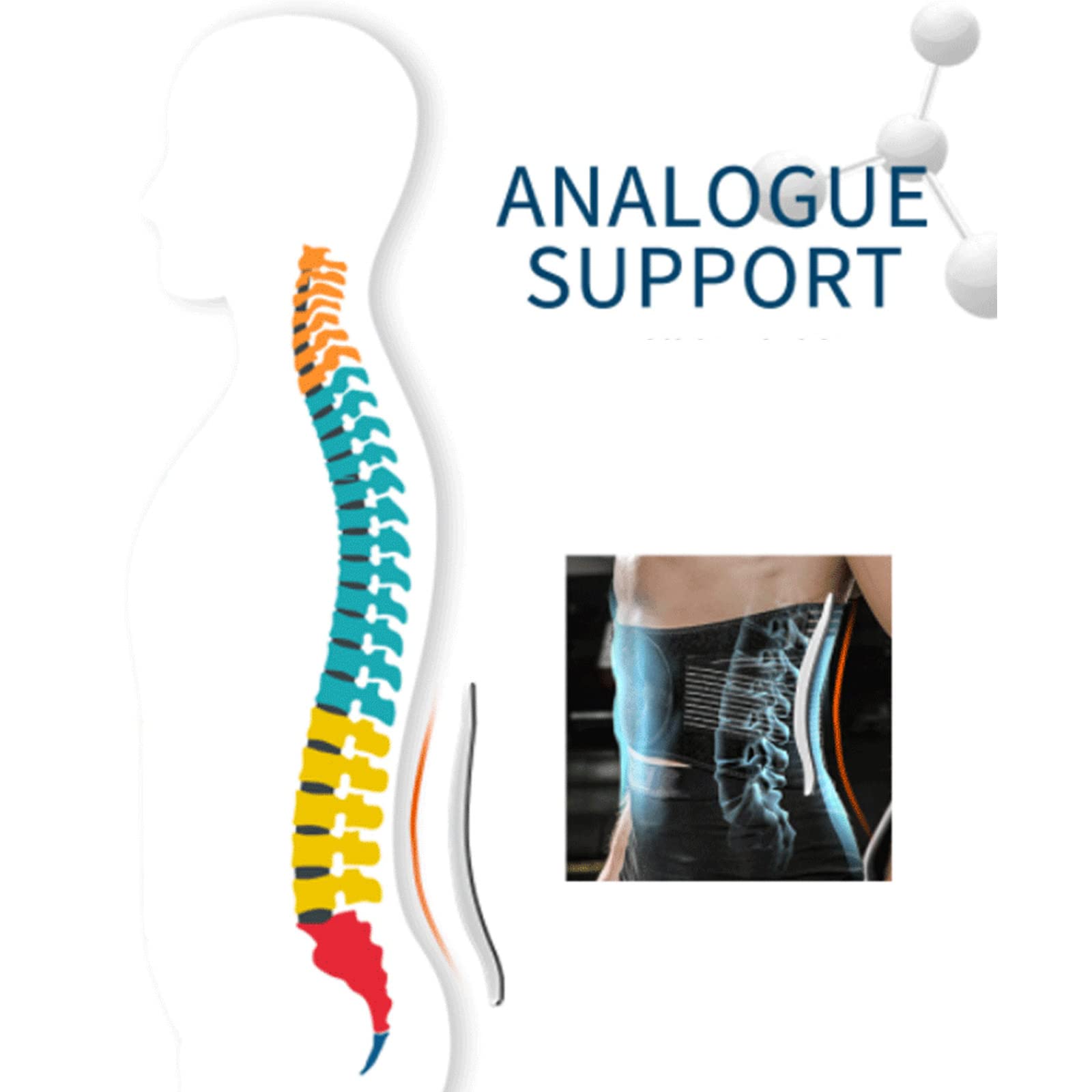 Faja lumbar ajustable para hombres y mujeres, ajustable, transpirable, cinturón lumbar ajustable para hombres y mujeres