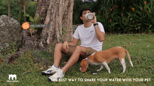 Ontdek de Top 5 Honden Waterflessen die je Liefde Voor Honden Versterken Ontdek de Top 5 Honden Waterflessen die je Liefde Voor Honden Versterken