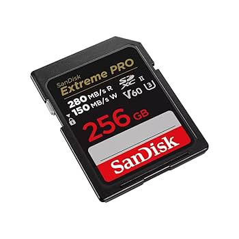 SanDisk - 専用　Sandisk Extreme PRO 256GB CFast 2.0 256GB SanDisk Extreme PRO CFast 2.0 Memory Card | Sandisk
