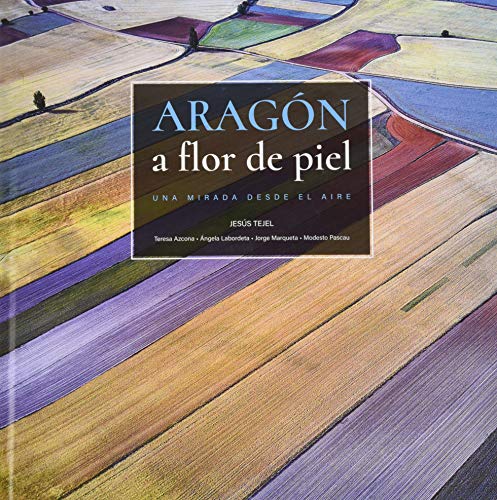 Portada de Aragón a flor de piel