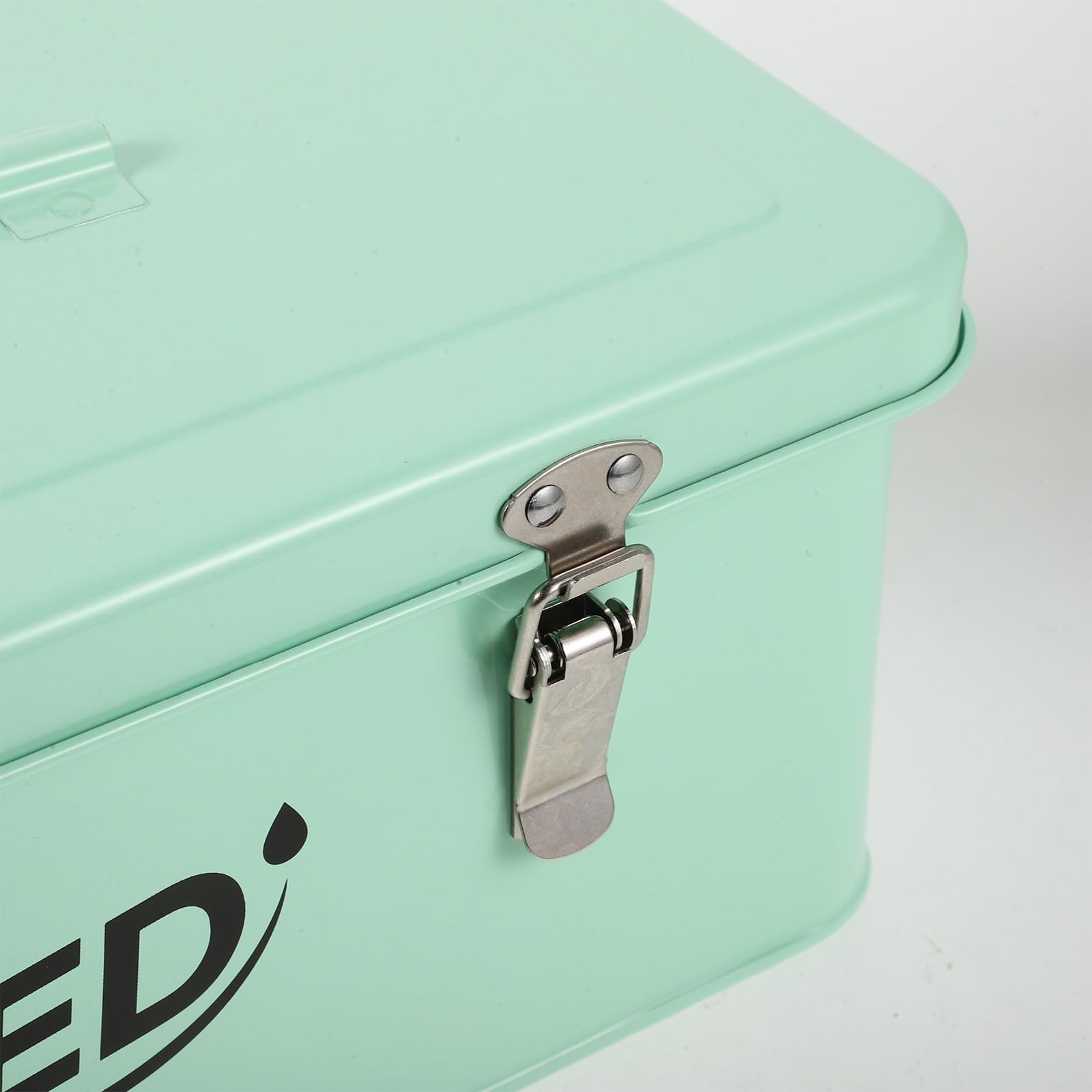 Toddmomy Caja para Paquetes de Semillas con separadores - Organizador de 4 Compartimentos con asa - Contenedor para la colección de Semillas de Plantas y Flores (Verde Claro)