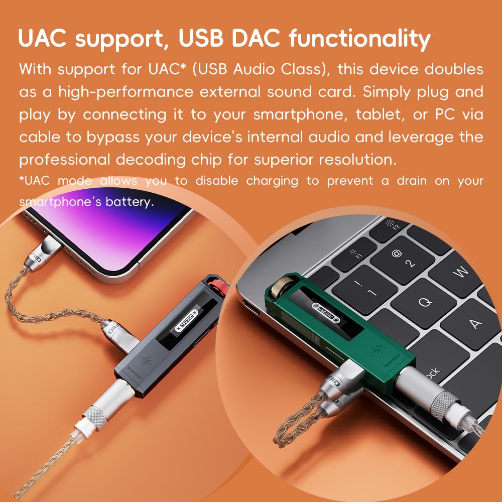 FiiO SnowSky Echo Nano - Reproductor de MP3 portátil retro con rueda de desplazamiento de la punta del dedo, salida de 3.5 mm, DAC USB, controles en línea y soporte DSD/FLAC (rosa)