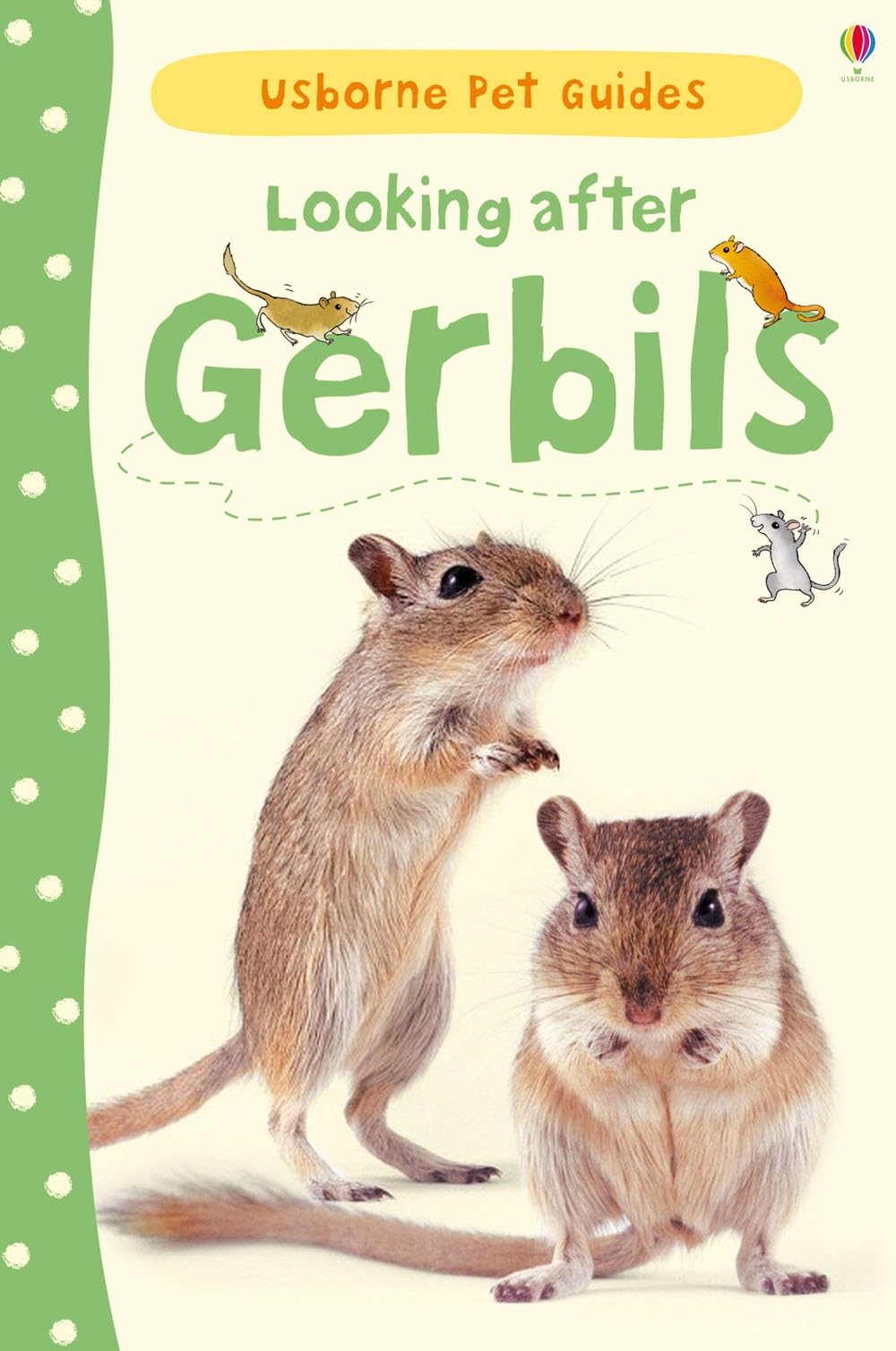 Buy Looking after Gerbils (Pet Guides) — BookShops.in