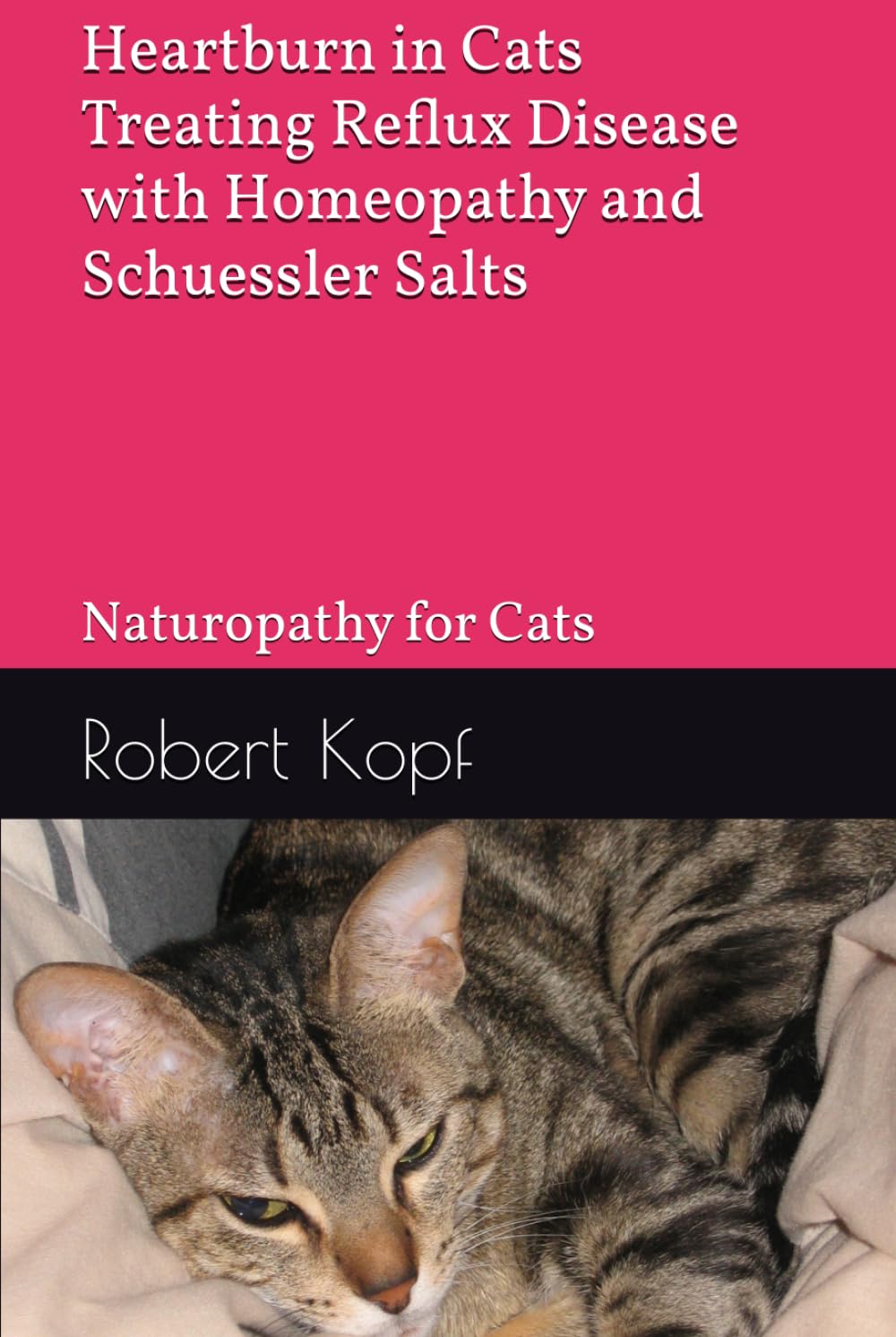 Heartburn in Cats - Treating Reflux Disease with Homeopathy and Schuessler Salts: Naturopathy for Cats