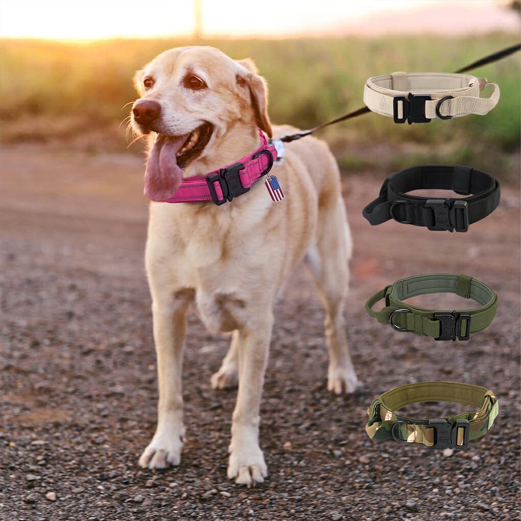 ノーブランドリーシュ