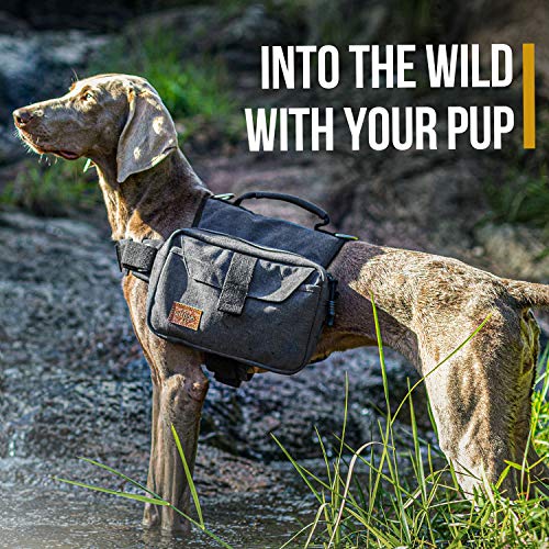 Sac à dos pour chien, voyage, camping, randonnée, sac à dos pour chien de taille