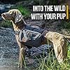 OneTigris-Dog-Pack-Hound-Travel-Camping-Hiking-Backpack-Saddle-Bag-Rucksack-for-Medium-Large-Dog-Black-Medium Durable Dog Backpack for Medium and Large Dogs | Outdoor Adventure Gear