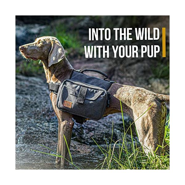 OneTigris-Dog-Pack-Hound-Travel-Camping-Hiking-Backpack-Saddle-Bag-Rucksack-for-Medium-Large-Dog-Black-Medium Durable Dog Backpack for Medium and Large Dogs | Outdoor Adventure Gear