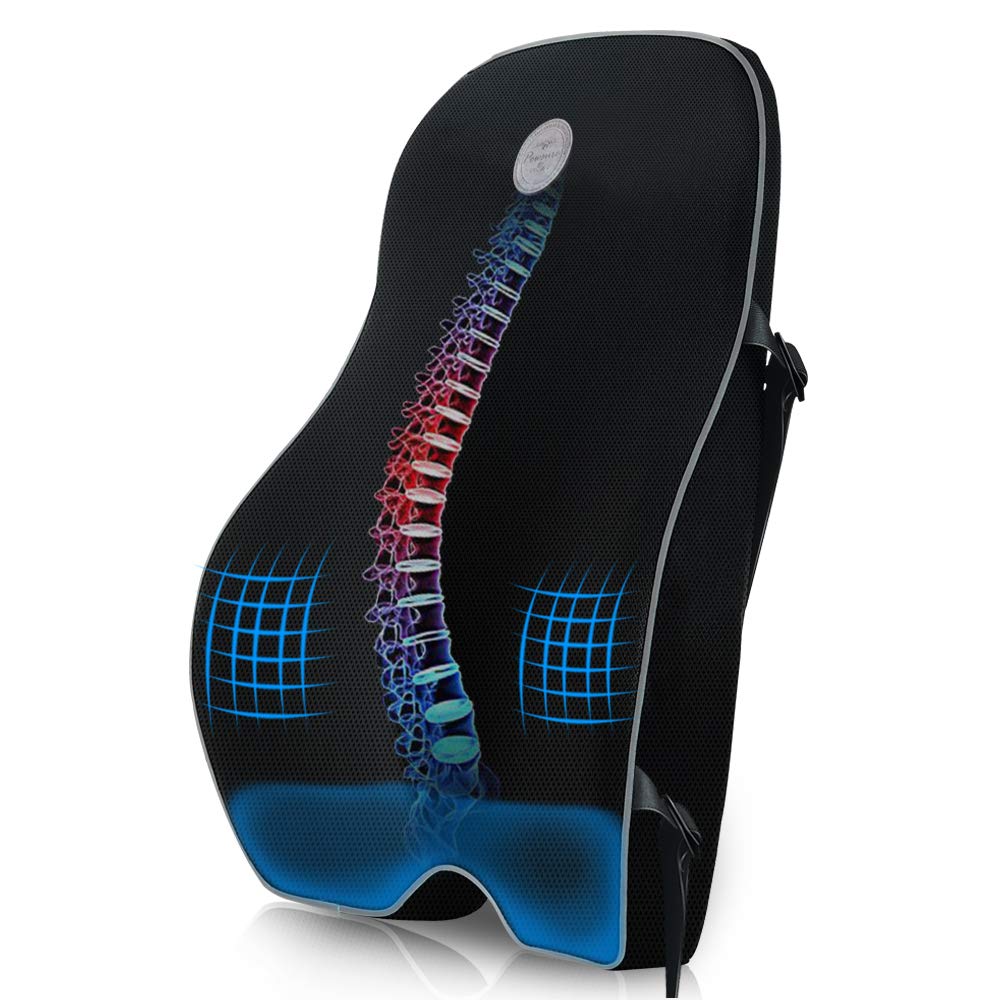 Powsure Back Support for Office Chair, Memory Foam Lumbar Support Pillow with 3D Mesh Cover, Large Breathable Ergonomic Lower Pain Relief Orthopedic Back Cushions for Car Seat, Wheelchair, Recliner: Industrial & Scientific