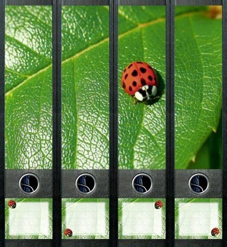 File Art AJ412 con cartella spine etichette