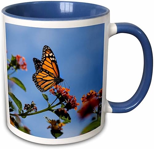 Miniatura 13 de 3dRose Danita Delimont - Butterflies - USA, California. Mariposa monarca sobre flor de lantana. - Tazas Red/White,Black,Blue,Green,Varios